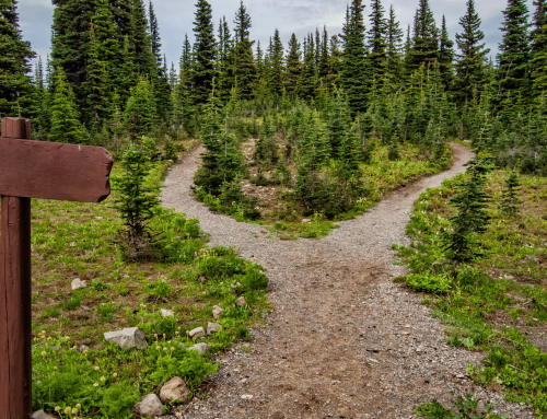 Retirement Decisions Aren’t All Black & White